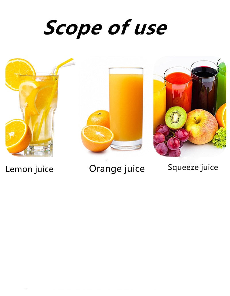 Fruit Juicer